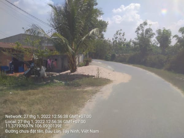 TN15 Đường số 31 Lò mỳ Xeo Bé đến hết đường - Ảnh 2