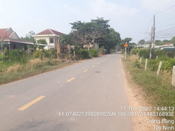 TRB175 - Đường Cầu Chùa từ đường Hương Lộ 2 (nhà ông 4 Thanh) đến đường Cầu Chùa nhà ông Út Huỳnh Gươm) - Ảnh 3