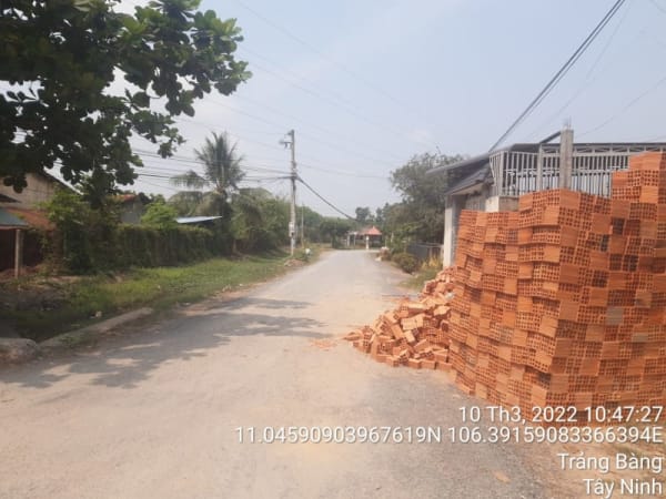 TRB110 - Đường An Sinh - Bàu Mây - Ảnh 2