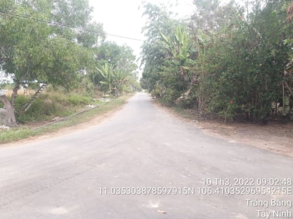 TRB99- Đường Suối Sâu Đi Thái Mỹ - Ảnh 3