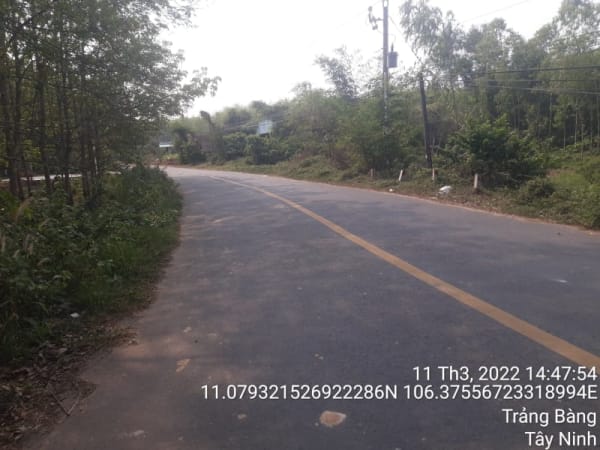 TRB176- Đường Lộc Vĩnh - Lộc Chánh - Ảnh 2