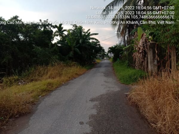 BT174 Đường vào làng hoa kiểng Bà Hộ từ quốc lộ 91B ( Nguyễn Văn Linh ) đến hết đoạn tráng nhựa - Ảnh 5