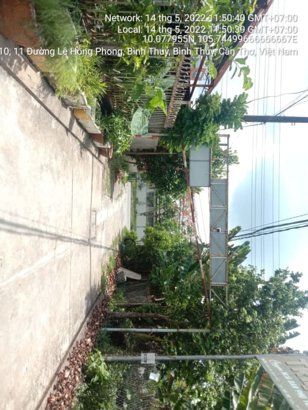 BT103 Hẻm 16 Lê Hồng Phong từ lê hồng phong đến cuối hẻm - Ảnh 2