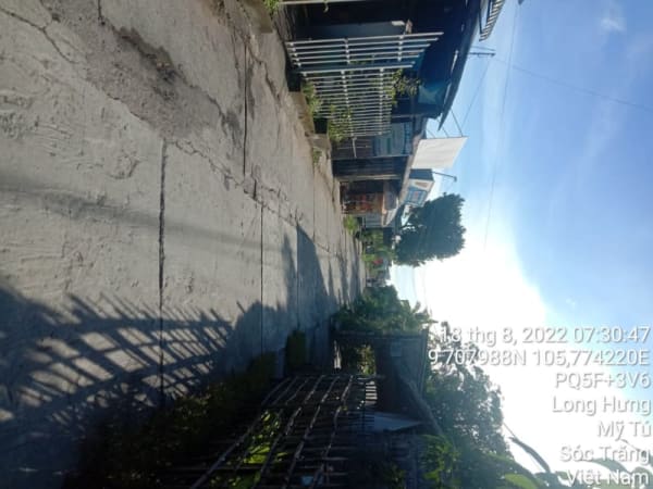 MT137	Đường Huyện 87B từ Giáp ranh đất ông Lê Việt Hùng đến Kênh 1/5 - Ảnh 4