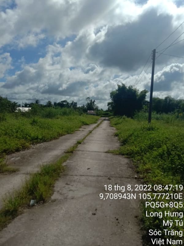 MT151	Trung tâm thương mại Long Hưng, xã Long Hưng từ Dãy Khu phố 5, 6 - Ảnh 1