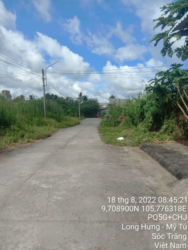 MT151	Trung tâm thương mại Long Hưng, xã Long Hưng từ Dãy Khu phố 5, 6 - Ảnh 3