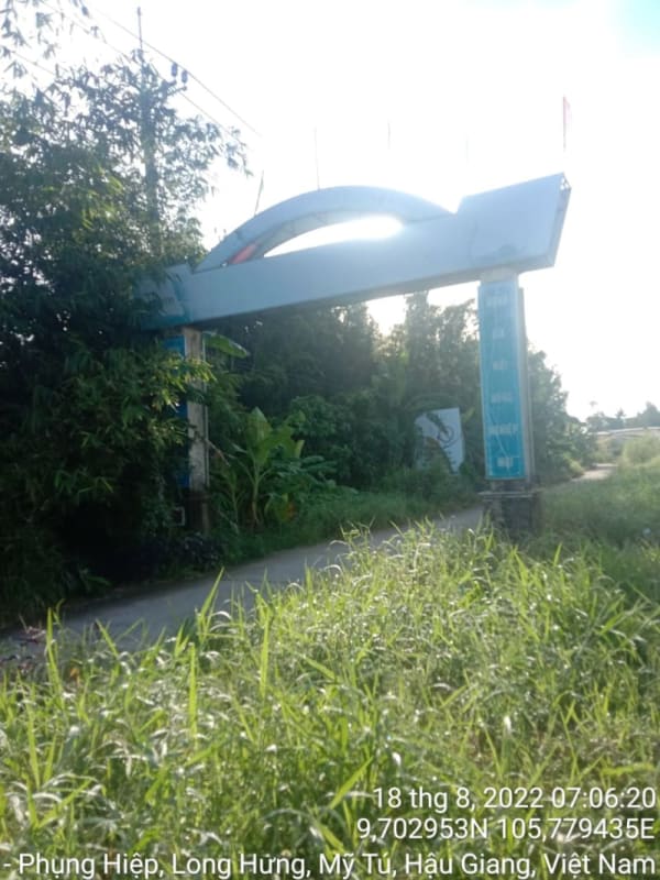 MT152	Đường D3-N6, xã Long Hưng  từ Toàn tuyến - Ảnh 2