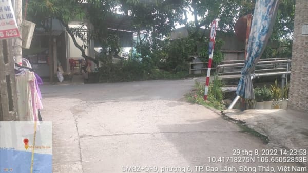 CLH130 - Đường đan Long Sa - đình Tân Tịch - Ảnh 5