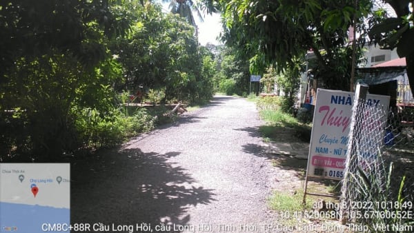 CLH145 - Đường nhựa cầu Long Hồi - Ngã Quát - Ảnh 1