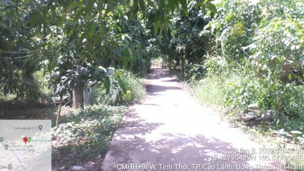 CLH147 - đường đan Cả Sung - Ảnh 5
