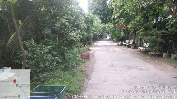 CLH148 - Đường đan tổ 10 ấp Tịnh Mỹ - Ảnh 4