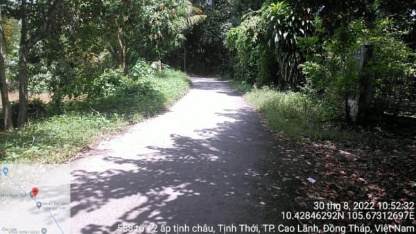 CLH149 - Đường đan tổ 01 ấp Tịnh Mỹ - Ảnh 3