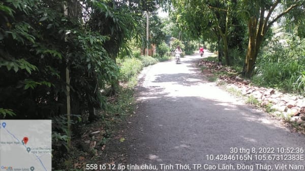 CLH149 - Đường đan tổ 01 ấp Tịnh Mỹ - Ảnh 4