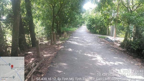 CLH152 - đường đan Cầu Trạm Xá - Cống Mã Voi - Ảnh 4