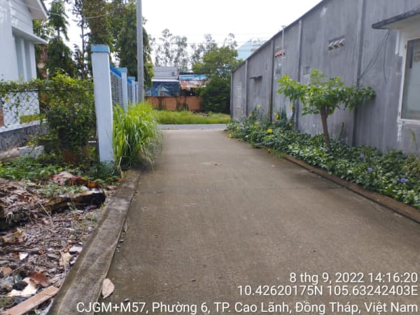 CLH333_Các đường đan Phường 6 - Ảnh 3