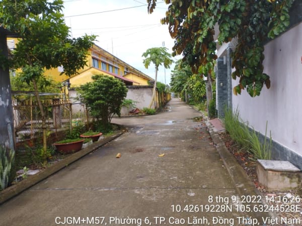 CLH333_Các đường đan Phường 6 - Ảnh 4