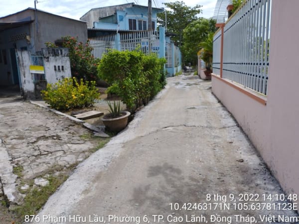 CLH333_Các đường đan Phường 6 - Ảnh 5