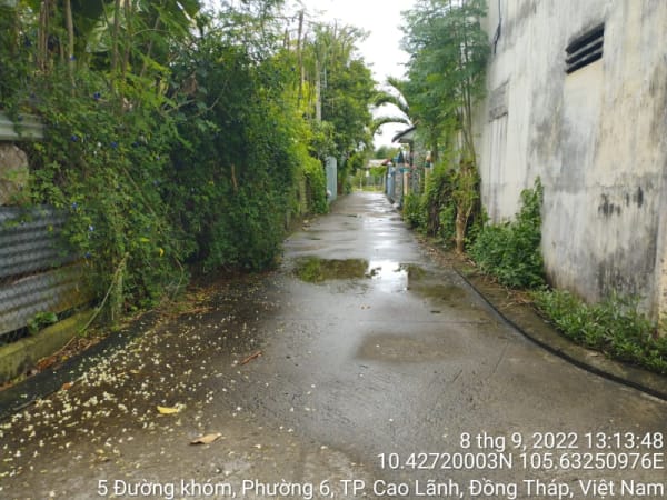 CLH349_Đường đan Tổ 48 - Ảnh 3
