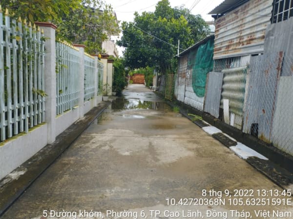 CLH349_Đường đan Tổ 48 - Ảnh 5