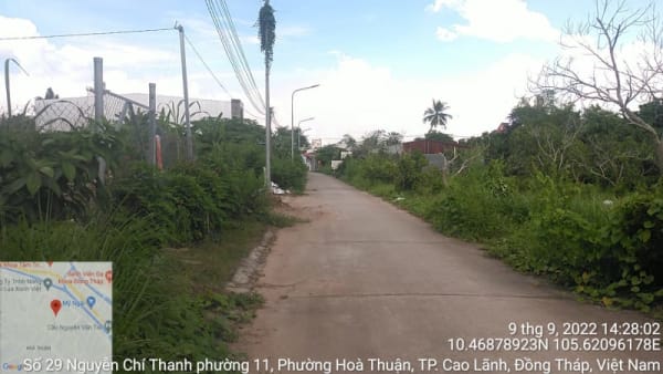 CLH435 Đường đan Hàn Me ( khu chuồng bò) - Ảnh 2