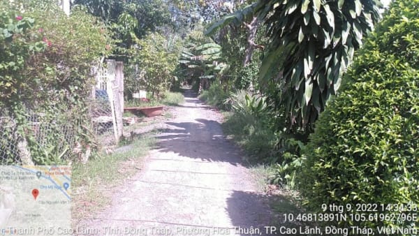 CLH433 đường đan Rạch Cái Sơn - Ảnh 2