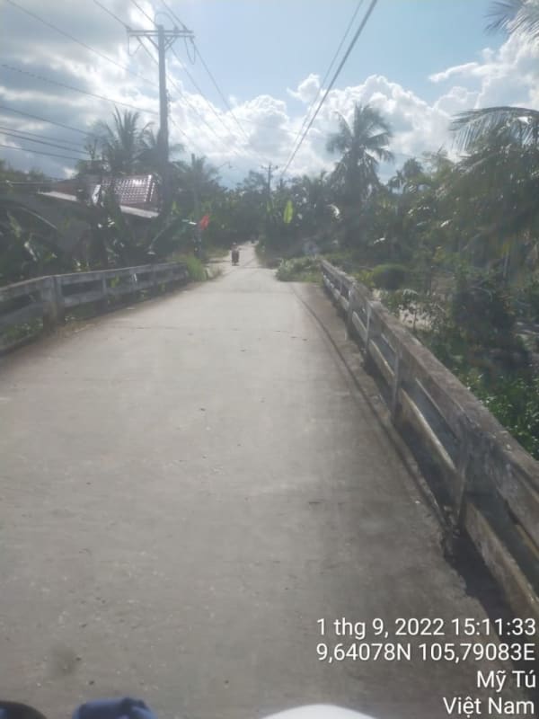 MT19 - Đường Huyện 84 - Ảnh 3