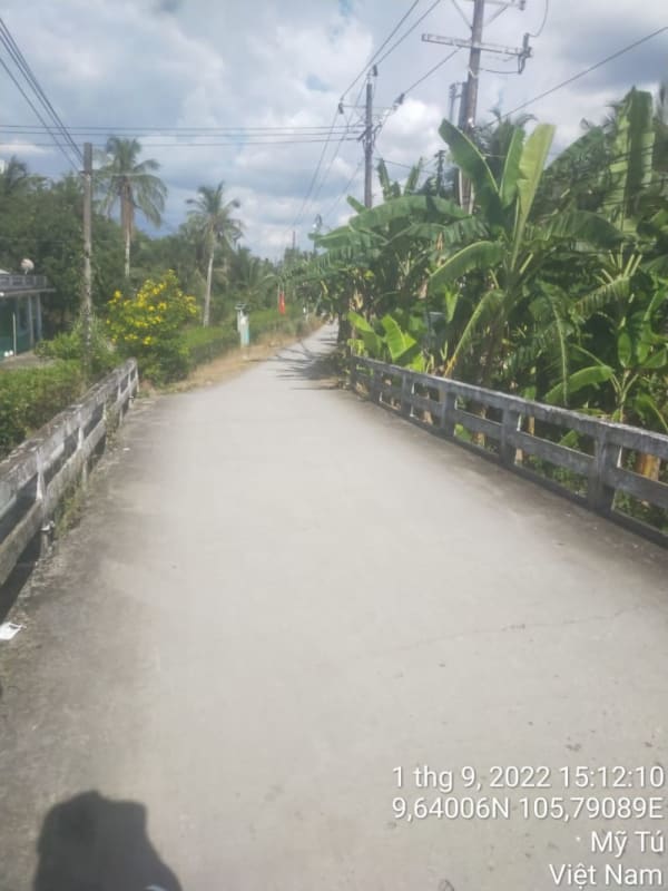 MT20 -Đường Huyện 84 - Ảnh 2