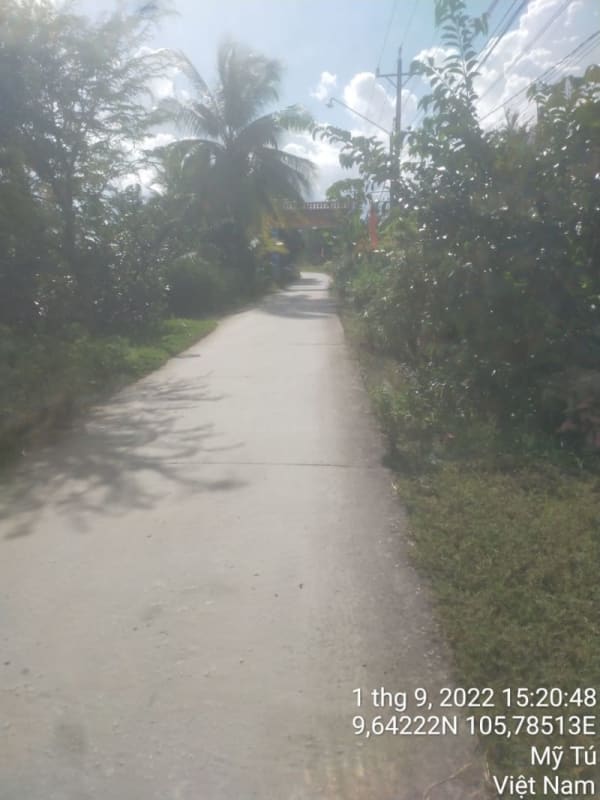 MT20 -Đường Huyện 84 - Ảnh 3