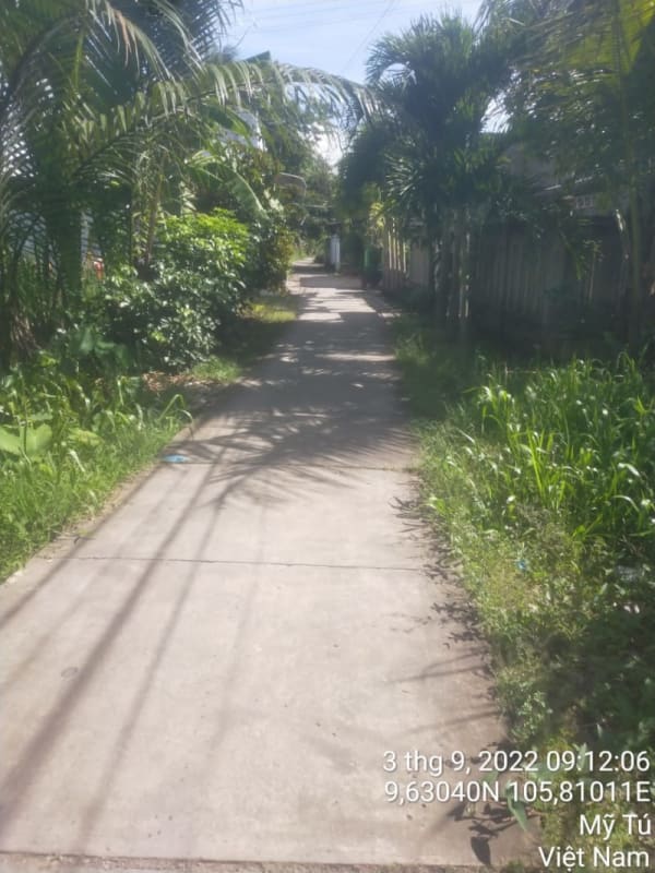 MT24 - Đường Trần Phú - Ảnh 3