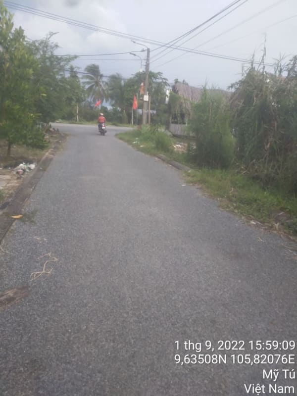 MT29 - Đường Huỳnh Văn Triệu - Ảnh 2