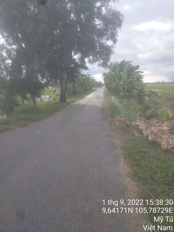 MT39 -Đường Tỉnh 939 - Ảnh 3