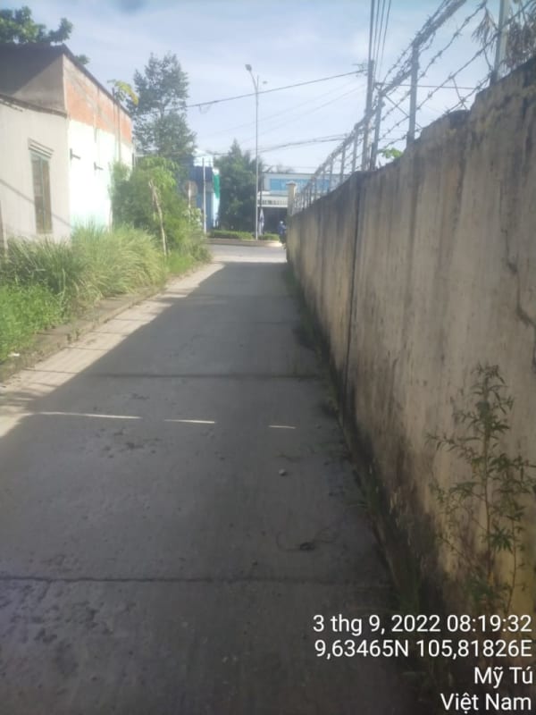 MT44 - Lộ nhựa B9, thị trấn Huỳnh Hữu Nghĩa - Ảnh 2