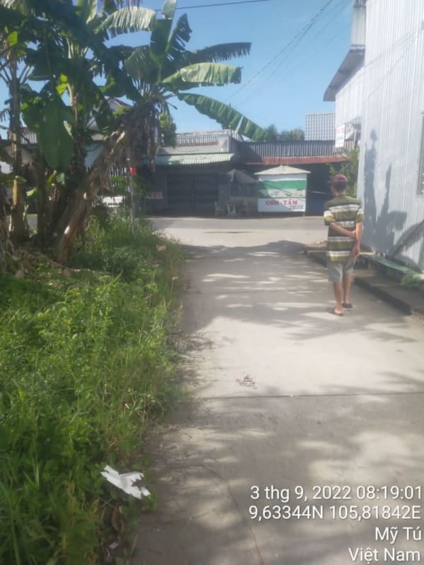 MT44 - Lộ nhựa B9, thị trấn Huỳnh Hữu Nghĩa - Ảnh 4