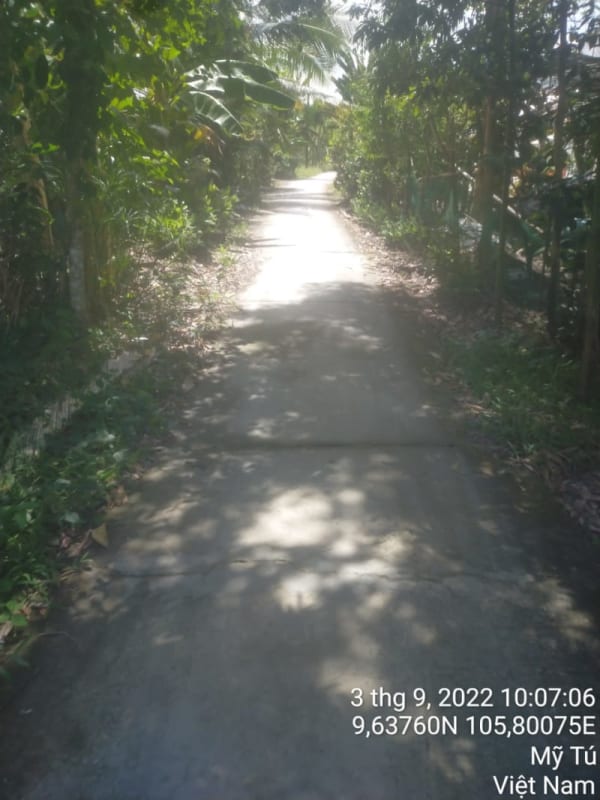 MT46 -Đường Bộ Thon - Ảnh 4