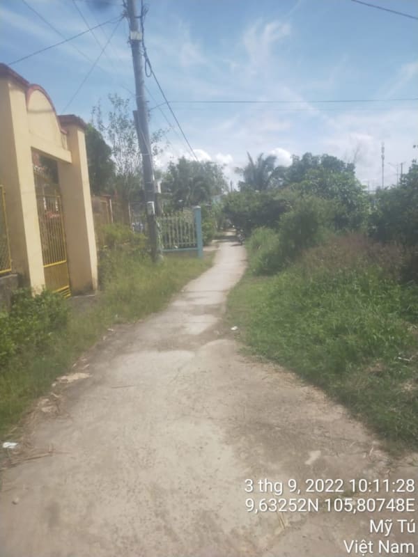 MT47 - Đường đal - Ảnh 3