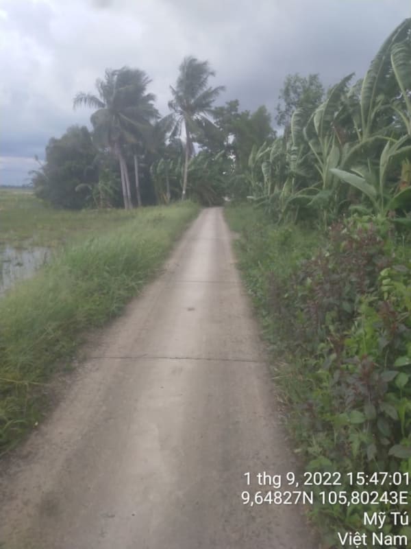 MT49 -  Đường Kênh 1/5 - Ảnh 1