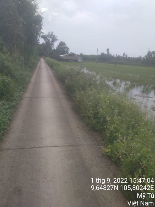 MT49 -  Đường Kênh 1/5 - Ảnh 2