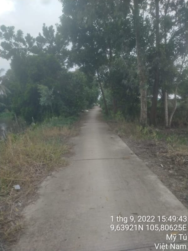 MT49 -  Đường Kênh 1/5 - Ảnh 3