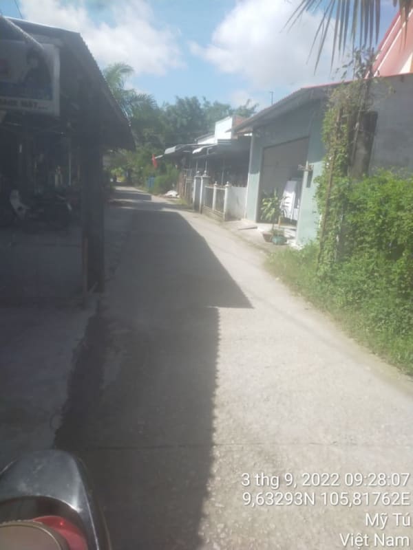 MT53 - Đường đal - Ảnh 2