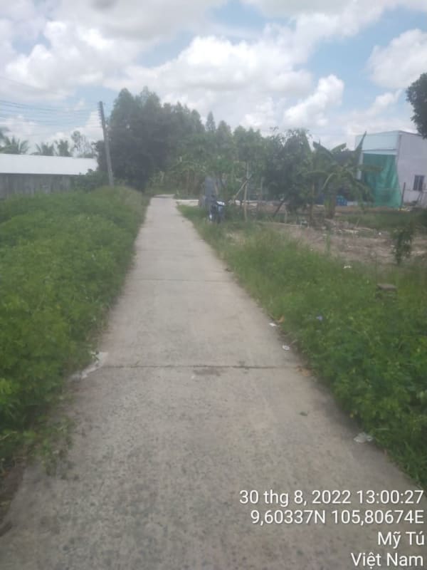 MT53 - Đường đal - Ảnh 3