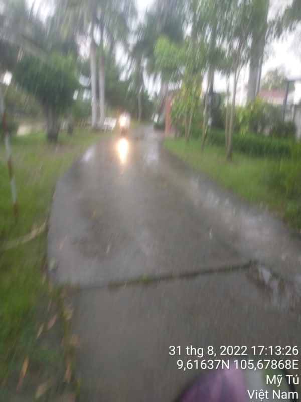 MT79 - Đường Huyện 84 - Ảnh 3