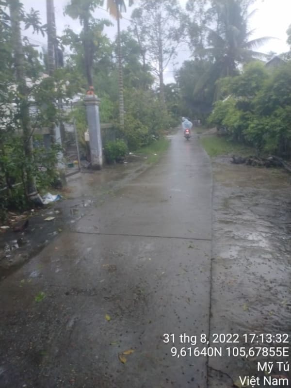 MT79 - Đường Huyện 84 - Ảnh 4