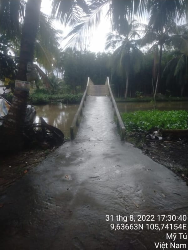 MT91 - Đường đal - Ảnh 2