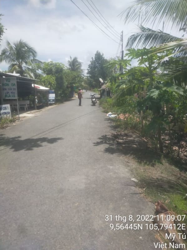 MT97 - Đường Huyện 82 - Ảnh 2