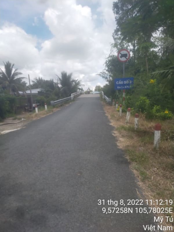 MT97 - Đường Huyện 82 - Ảnh 3