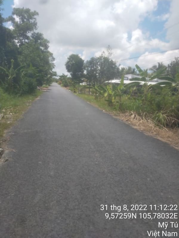 MT97 - Đường Huyện 82 - Ảnh 4