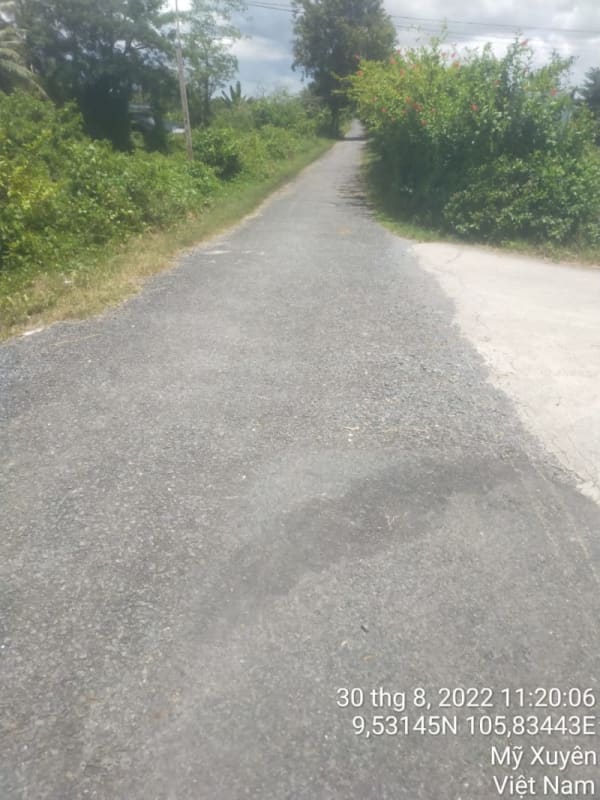 MT98- Đường Huyện 87 (đường Rạch Rê) - Ảnh 4