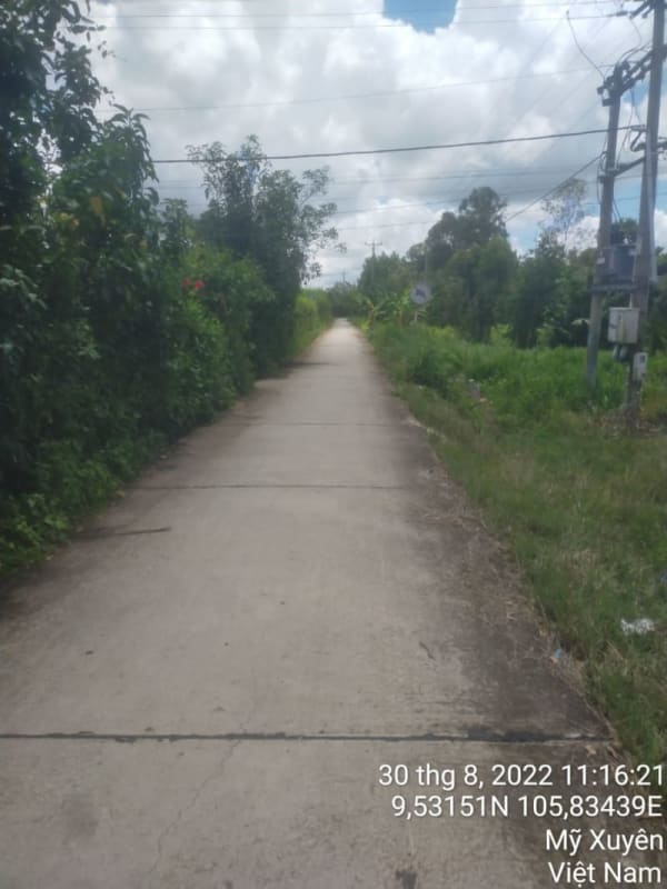 MT99- Đường Huyện 89 - Ảnh 2