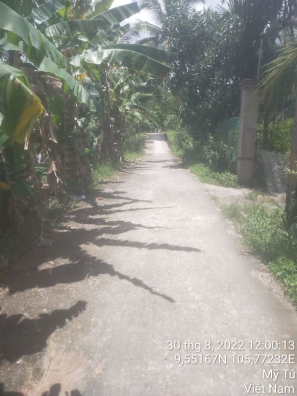 MT102 - 	Đường đal Phước Bình (3) - Ảnh 3