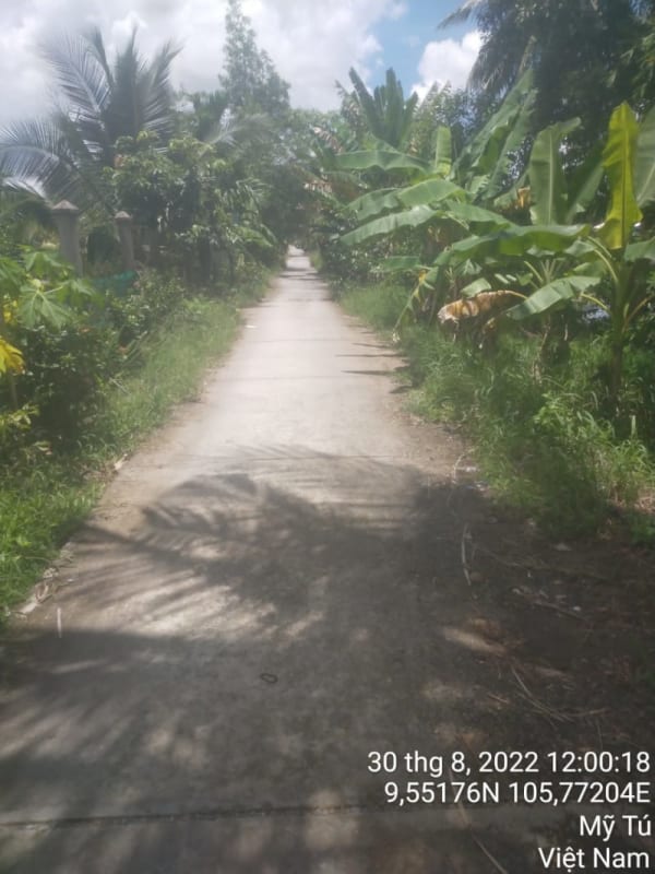 MT102 - 	Đường đal Phước Bình (3) - Ảnh 4
